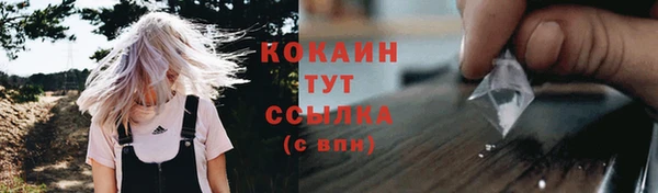 сатива Каменск-Шахтинский